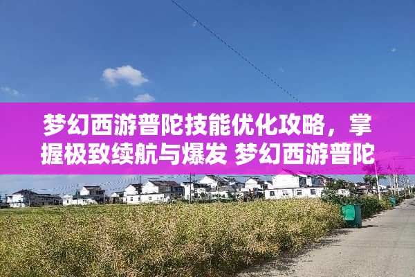 梦幻西游普陀技能优化攻略，掌握极致续航与爆发 梦幻西游普陀技能