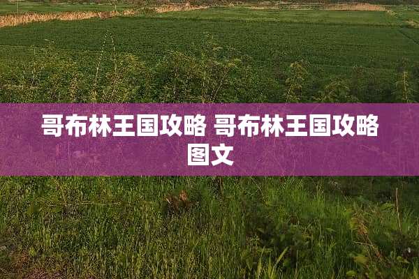 哥布林王国攻略 哥布林王国攻略图文