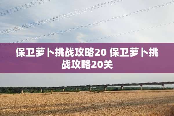保卫萝卜挑战攻略20 保卫萝卜挑战攻略20关