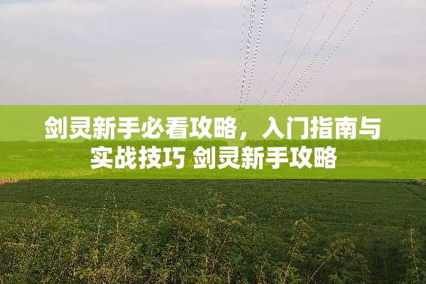 剑灵新手必看攻略，入门指南与实战技巧 剑灵新手攻略