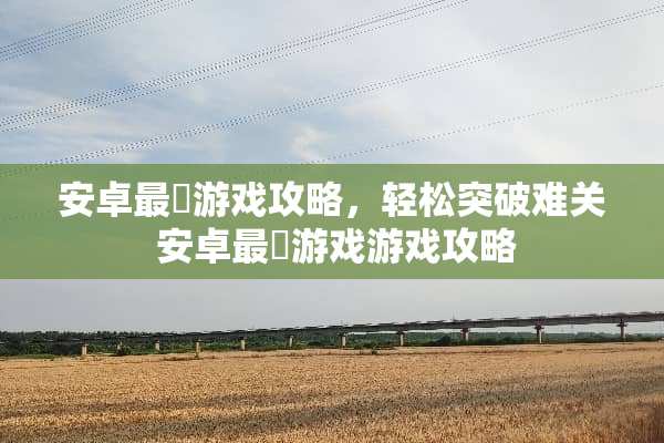 安卓最囧游戏攻略，轻松突破难关 安卓最囧游戏游戏攻略