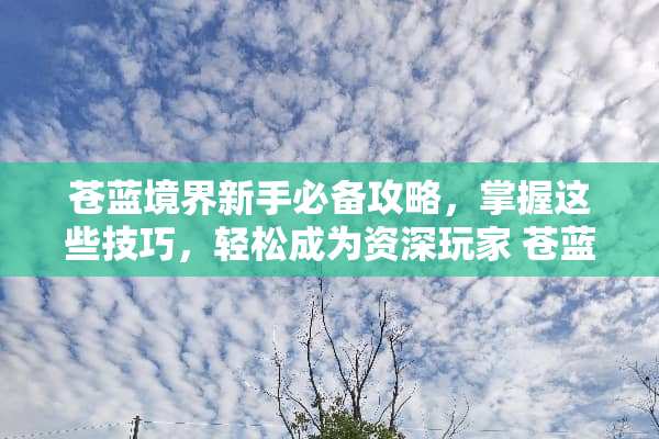 苍蓝境界新手必备攻略，掌握这些技巧，轻松成为资深玩家 苍蓝境界攻略