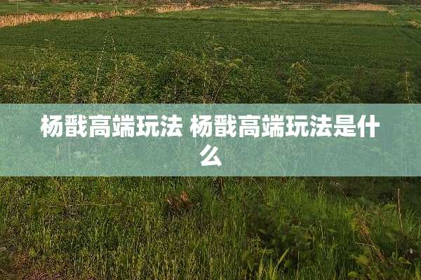 杨戬高端玩法 杨戬高端玩法是什么