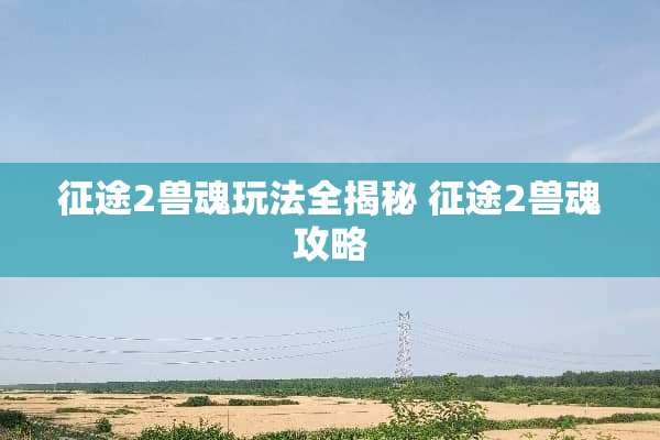 **2兽魂玩法全揭秘 **2兽魂攻略