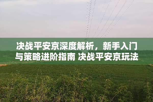 决战平安京深度解析，新手入门与策略进阶指南 决战平安京玩法