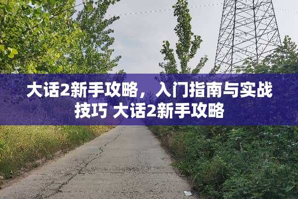 大话2新手攻略，入门指南与实战技巧 大话2新手攻略