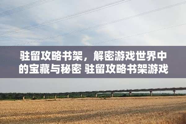 驻留攻略书架，解密游戏世界中的宝藏与秘密 驻留攻略书架游戏推荐