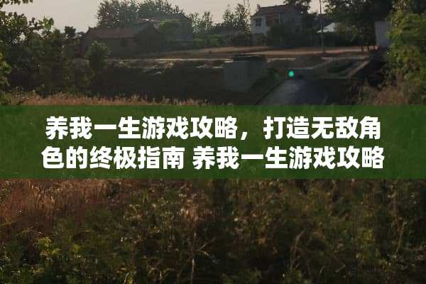 养我一生游戏攻略，打造无敌角色的终极指南 养我一生游戏攻略