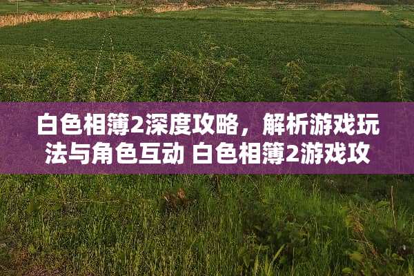 白色相簿2深度攻略，解析游戏玩法与角色互动 白色相簿2游戏攻略