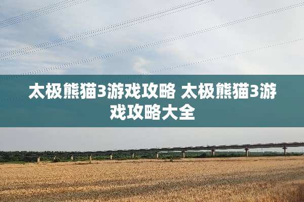 太极熊猫3游戏攻略 太极熊猫3游戏攻略大全