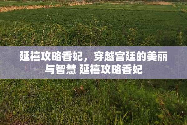 延禧攻略香妃，穿越宫廷的美丽与智慧 延禧攻略香妃