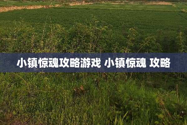 小镇惊魂攻略游戏 小镇惊魂 攻略