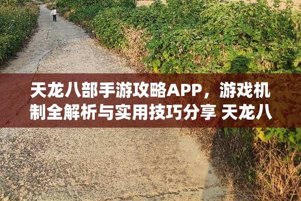 天龙八部手游攻略APP，游戏机制全解析与实用技巧分享 天龙八部游戏攻略app