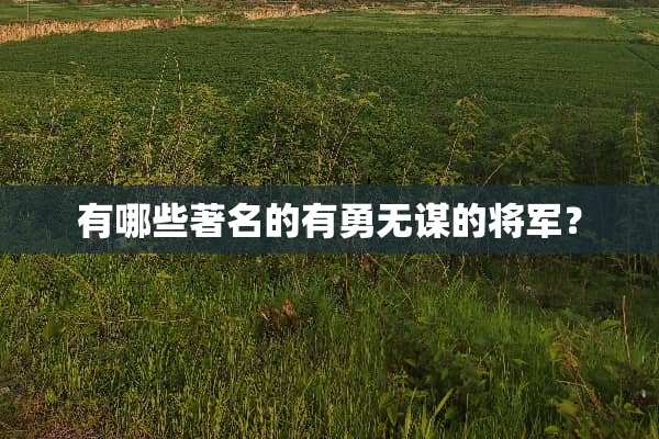 有哪些著名的有勇无谋的将军？