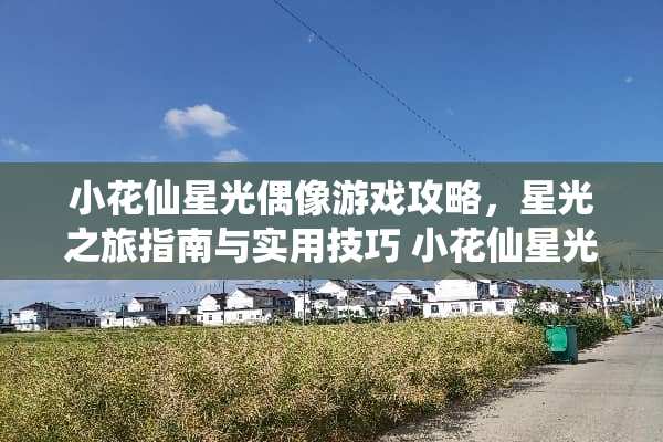 小花仙星光偶像游戏攻略，星光之旅指南与实用技巧 小花仙星光偶像攻略