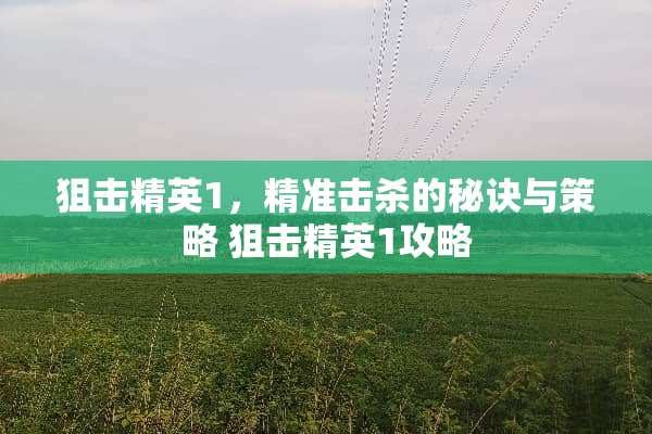 **精英1，精准击杀的秘诀与策略 **精英1攻略