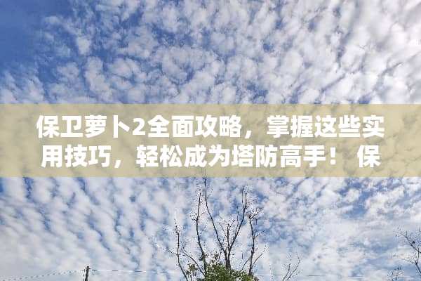 保卫萝卜2全面攻略，掌握这些实用技巧，轻松成为塔防高手！ 保卫萝卜2攻略游戏