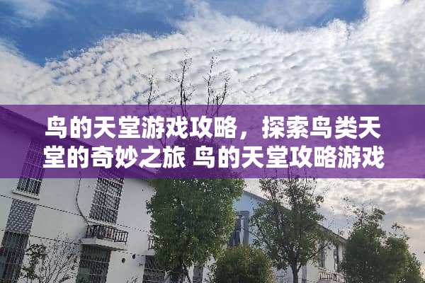 鸟的天堂游戏攻略，探索鸟类天堂的奇妙之旅 鸟的天堂攻略游戏