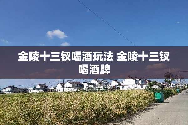 金陵十三钗喝酒玩法 金陵十三钗喝酒牌