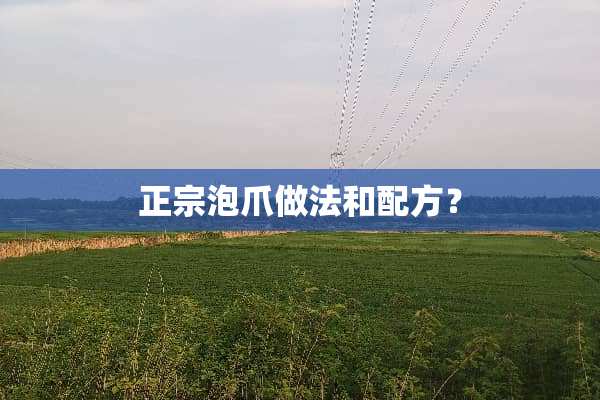 正宗泡爪做法和配方？
