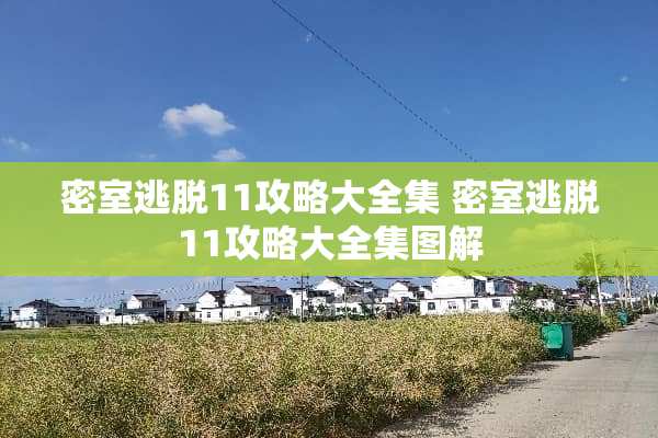 密室逃脱11攻略大全集 密室逃脱11攻略大全集图解