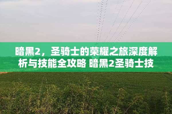 暗黑2，圣骑士的荣耀之旅深度解析与技能全攻略 暗黑2圣骑士技能