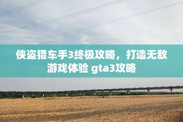 侠盗猎车手3终极攻略，打造无敌游戏体验 gta3攻略