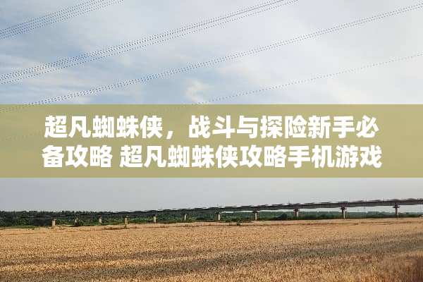 超凡蜘蛛侠，战斗与探险新手必备攻略 超凡蜘蛛侠攻略手机游戏