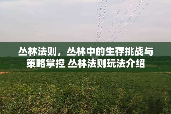 丛林法则，丛林中的生存挑战与策略掌控 丛林法则玩法介绍