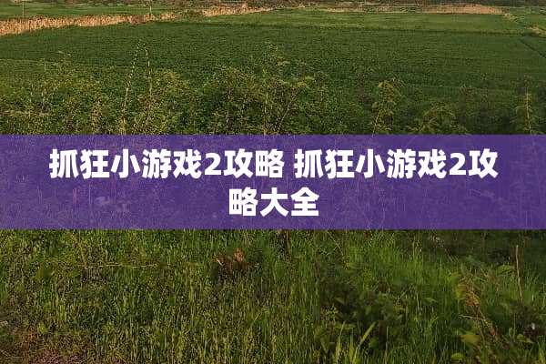 抓狂小游戏2攻略 抓狂小游戏2攻略大全