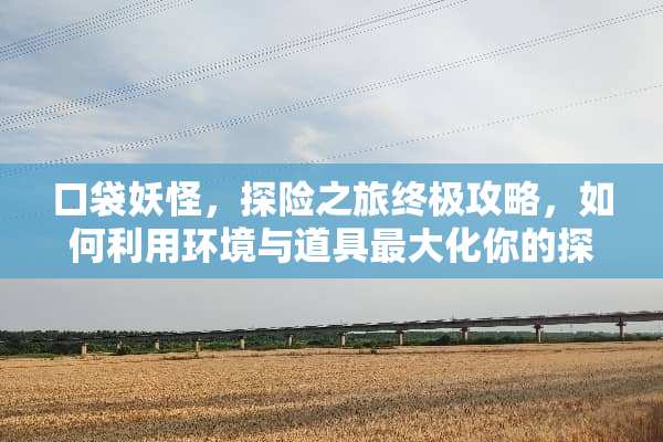 口袋妖怪，探险之旅终极攻略，如何利用环境与道具最大化你的探险效果？ nds冒险岛攻略