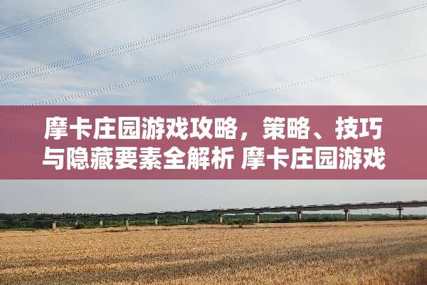 摩卡庄园游戏攻略，策略、技巧与隐藏要素全解析 摩卡庄园游戏攻略