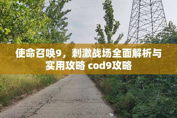使命召唤9，**战场全面解析与实用攻略 cod9攻略