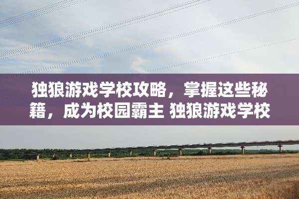 独狼游戏学校攻略，掌握这些秘籍，成为校园霸主 独狼游戏学校攻略