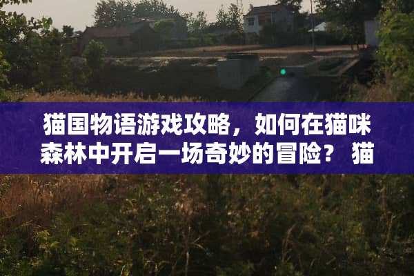 猫国物语游戏攻略，如何在猫咪森林中开启一场奇妙的冒险？ 猫国物语游戏攻略