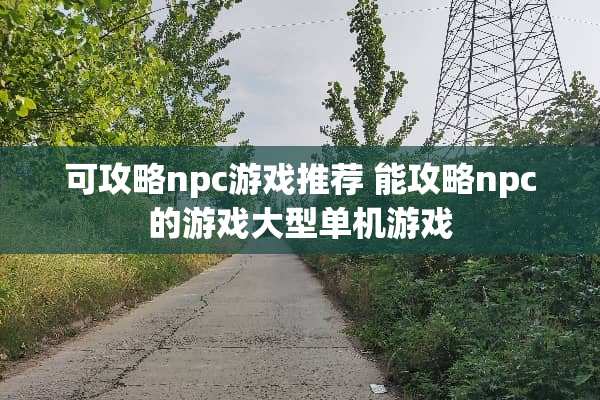 可攻略npc游戏推荐 能攻略npc的游戏大型单机游戏