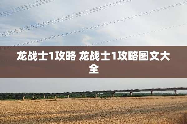 龙战士1攻略 龙战士1攻略图文大全