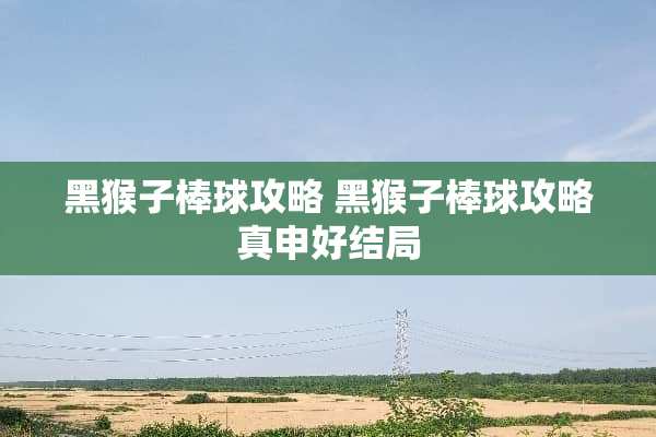 黑猴子棒球攻略 黑猴子棒球攻略真申好结局