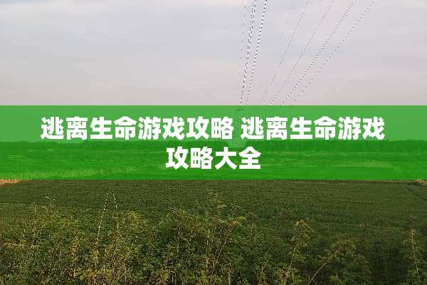 逃离生命游戏攻略 逃离生命游戏攻略大全