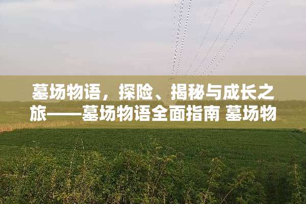 墓场物语，探险、揭秘与成长之旅——墓场物语全面指南 墓场物语攻略