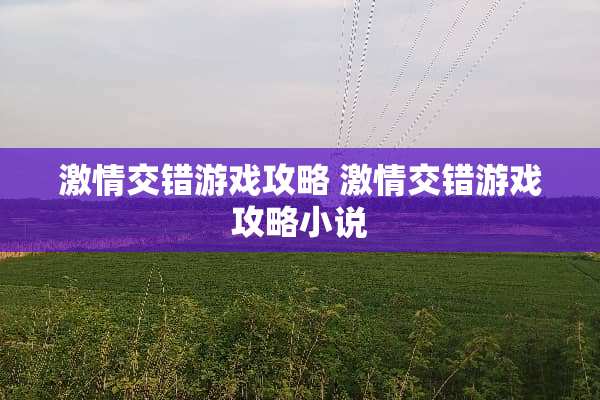 **交错游戏攻略 **交错游戏攻略小说