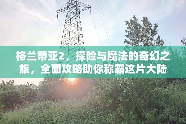 格兰蒂亚2，探险与魔法的奇幻之旅，全面攻略助你称霸这片**！ 格兰蒂亚2攻略