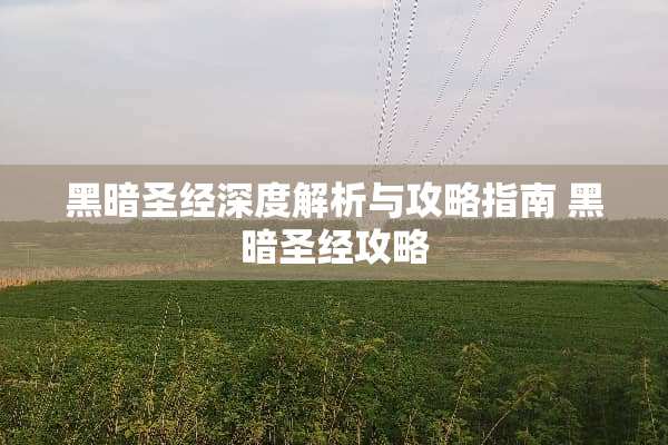 黑暗圣经深度解析与攻略指南 黑暗圣经攻略