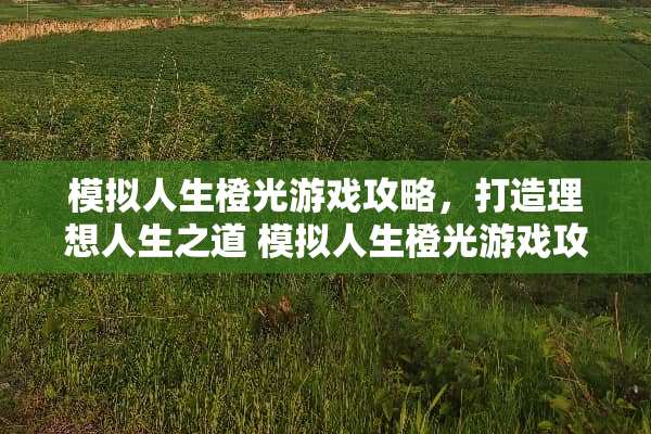 模拟人生橙光游戏攻略，打造理想人生之道 模拟人生橙光游戏攻略