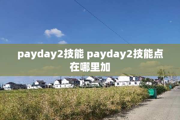 payday2技能 payday2技能点在哪里加