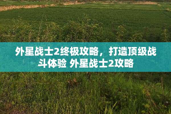 外星战士2终极攻略，打造**战斗体验 外星战士2攻略