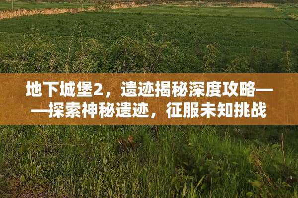 **城堡2，遗迹揭秘深度攻略——探索神秘遗迹，征服未知挑战 **城堡2遗迹攻略
