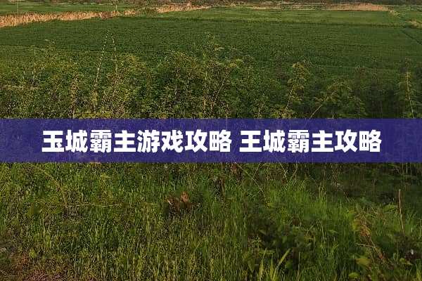 玉城霸主游戏攻略 王城霸主攻略