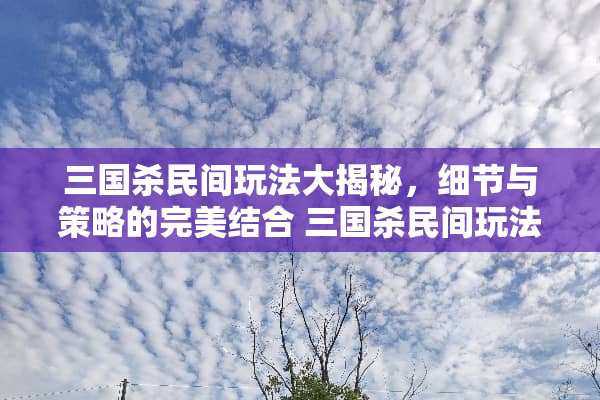 三国杀民间玩法大揭秘，细节与策略的完美结合 三国杀民间玩法