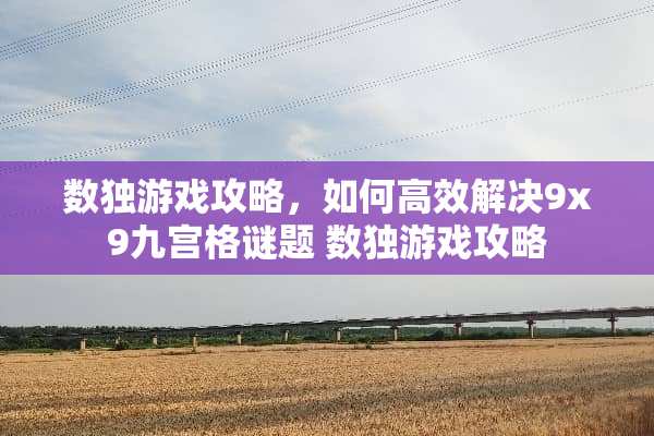数独游戏攻略，如何高效解决9x9九宫格谜题 数独游戏攻略